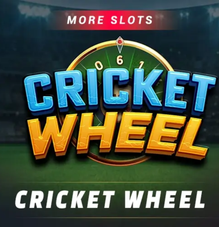 Cricket guide and match information
